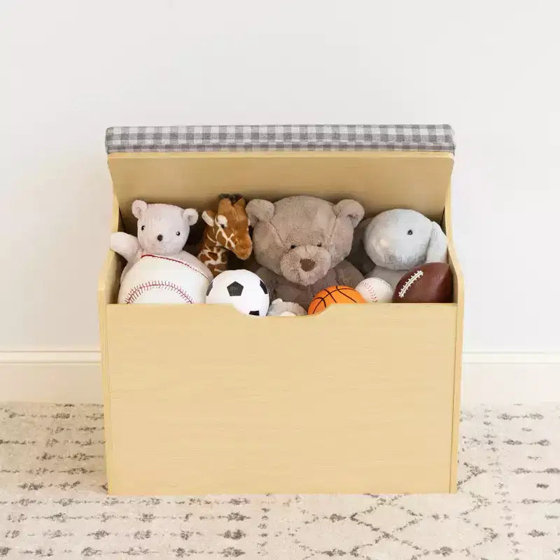 Kids' Hinged Toy Chest Wood: MDF Frame, Steel Hardware, Bin Shelves, 1 Drawer, 1 Shelf