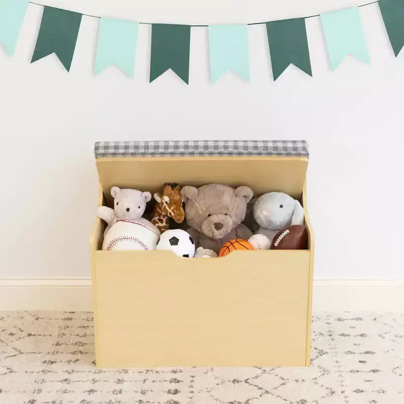 Kids' Hinged Toy Chest Wood: MDF Frame, Steel Hardware, Bin Shelves, 1 Drawer, 1 Shelf