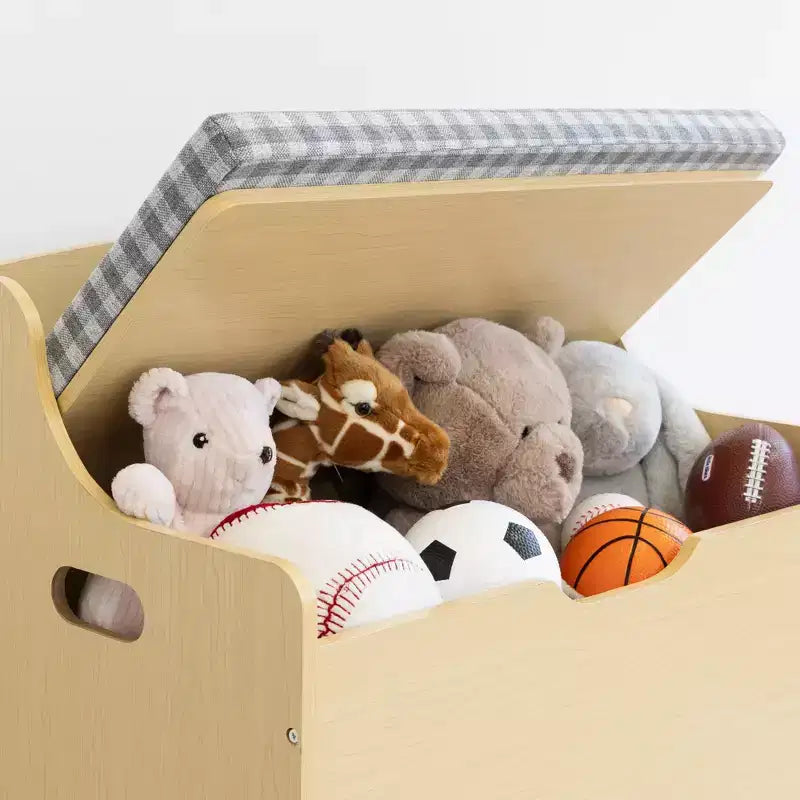 Kids' Hinged Toy Chest Wood: MDF Frame, Steel Hardware, Bin Shelves, 1 Drawer, 1 Shelf